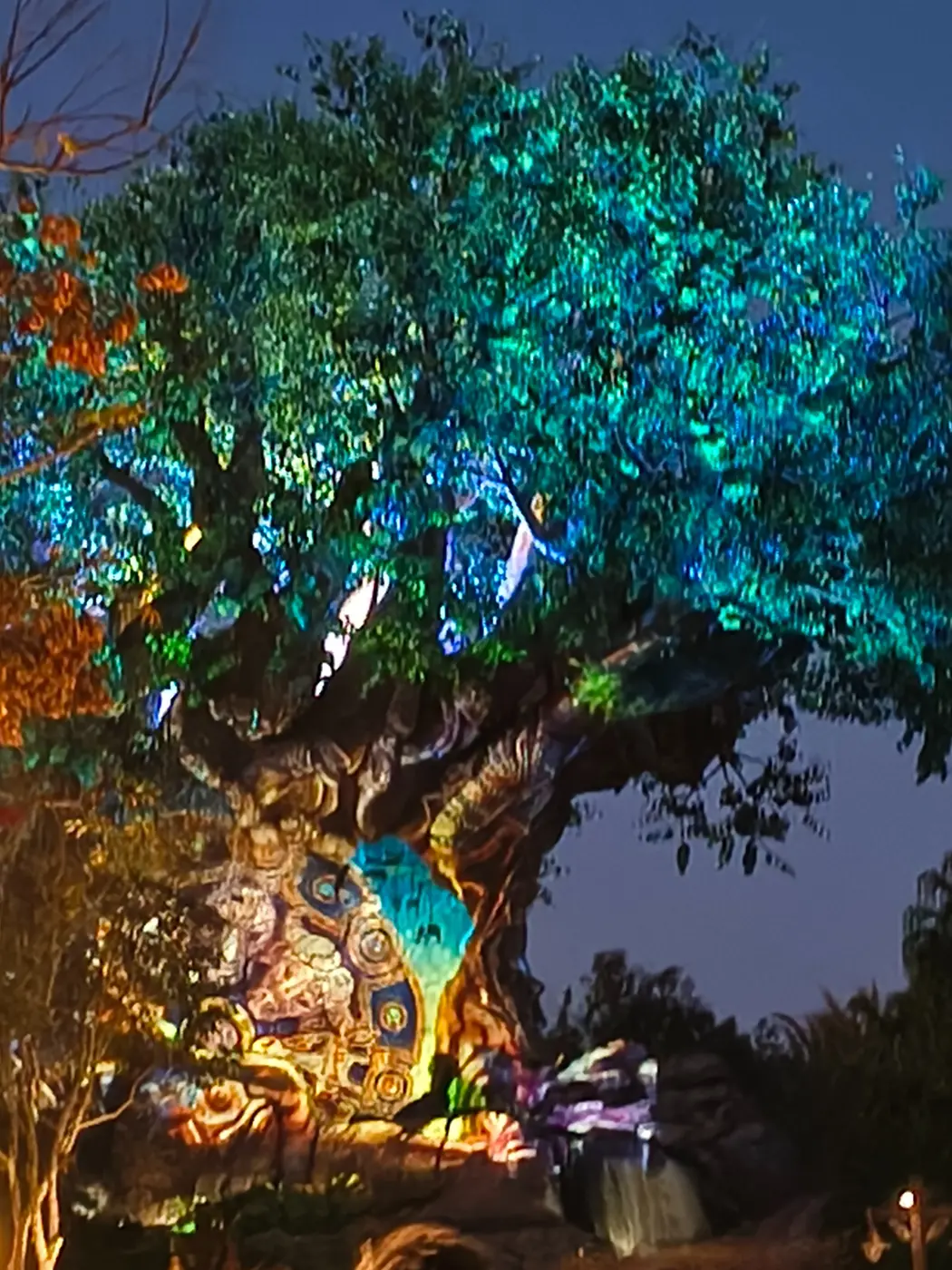 Tree of Life iluminado por la noche en Animal Kingdom