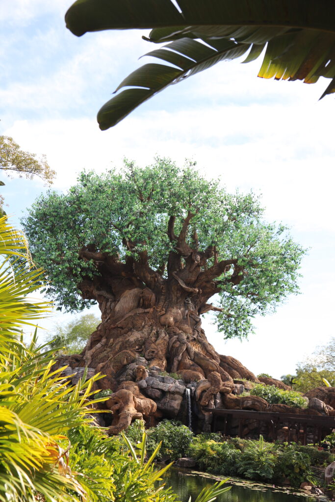 Discovery Island Trails -Animal Kingdom