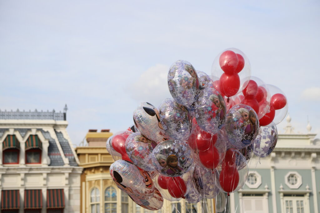 Magic Kingdom