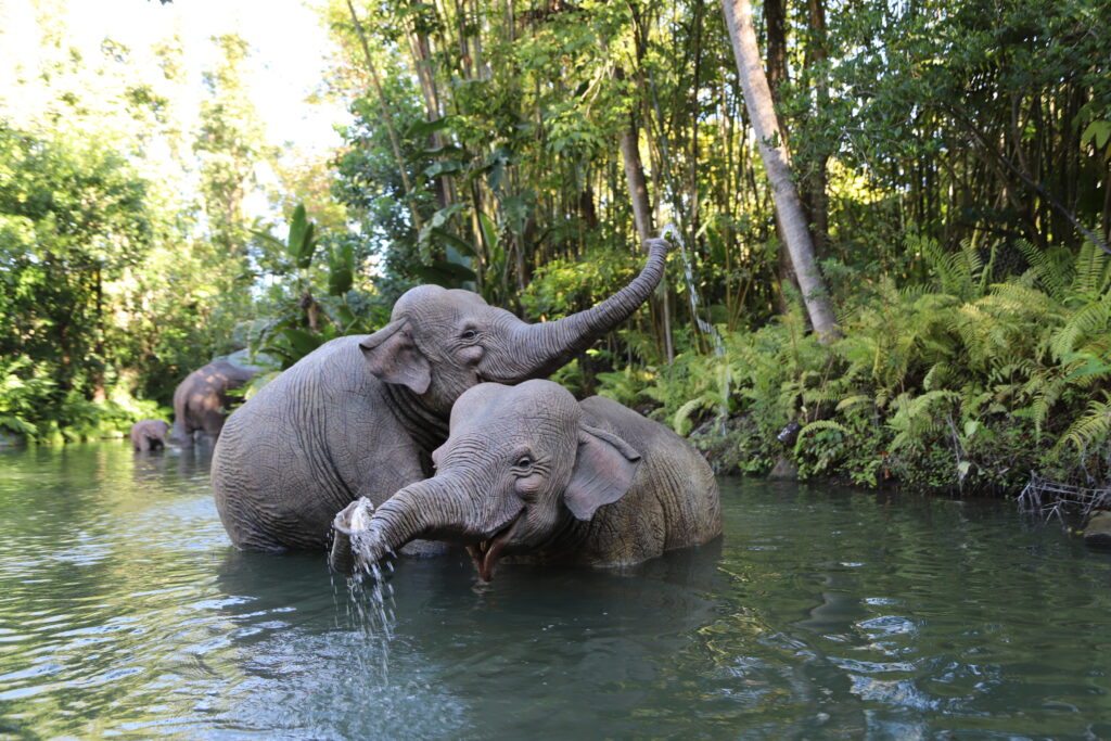 Jungle Cruise - OrlandoJoy